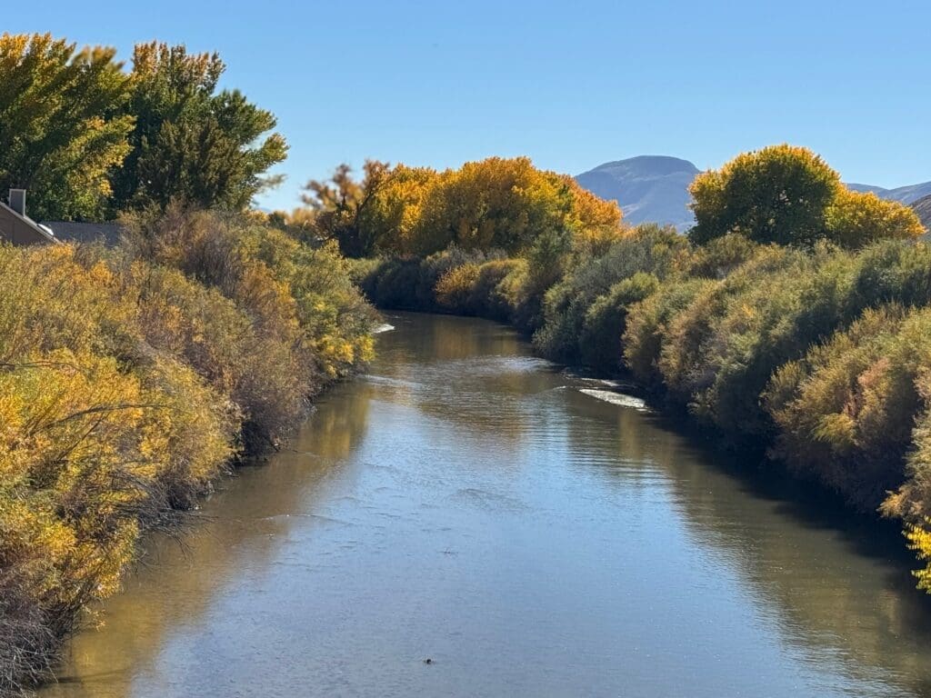 Walker River Fall Color